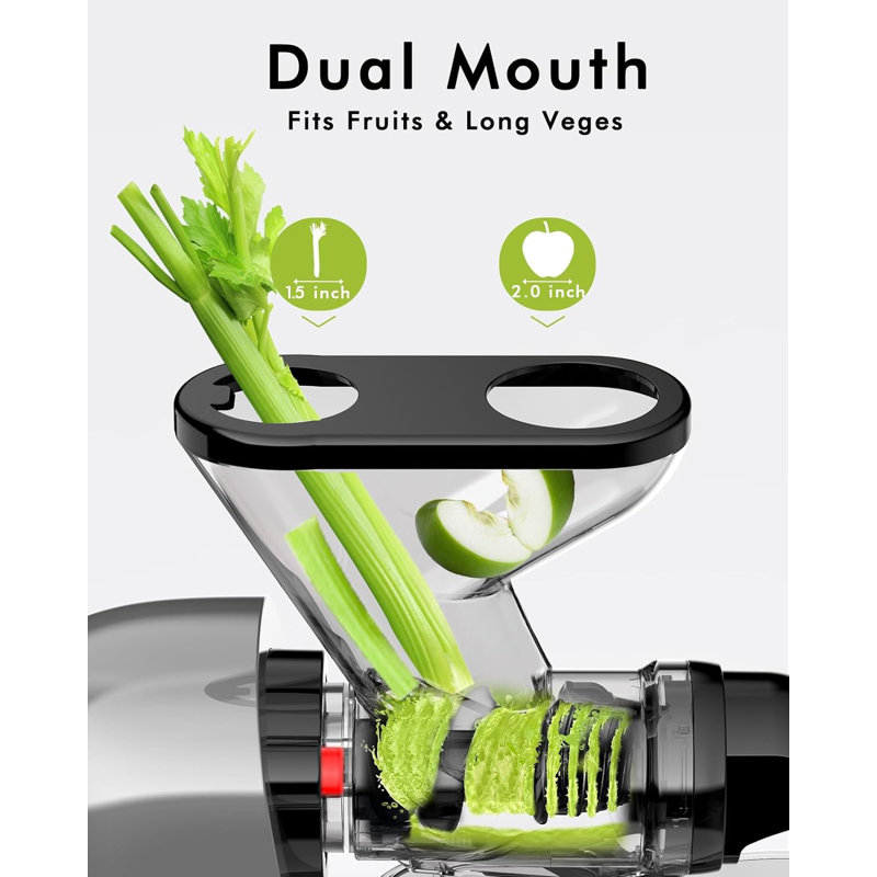 SiFENE Efficient Juicer by SIFENE, 2Speed, Stainless Steel, Slow